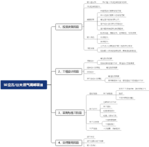 50万立方每日天然气（LNG）调峰项目推进流程.Document