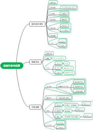 店面抖音号运营