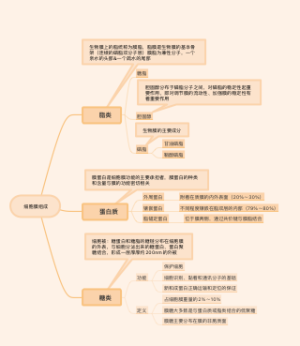 细胞膜组成