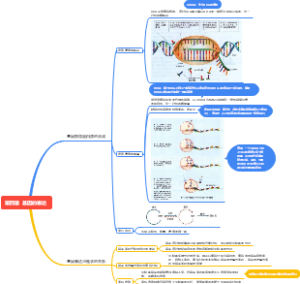 生物必修二第四章《基因的表达》导图