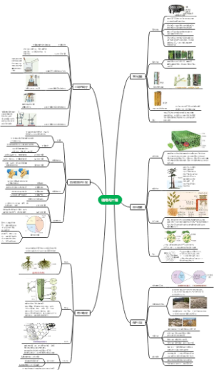 八年级上册科学第三单元思维导图