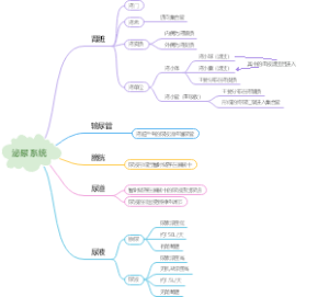泌尿系统