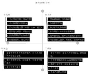淘外SWOT 分析