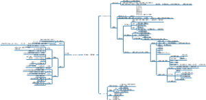 抖音基础逻辑与机制