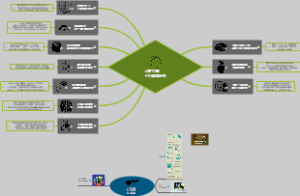心智大腦十大錯誤迷思