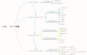 必修1  分子与细胞