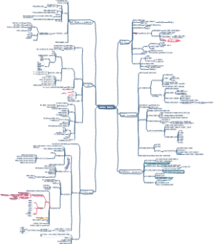 《我的最后一本减肥书》