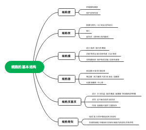 细胞的基本结构