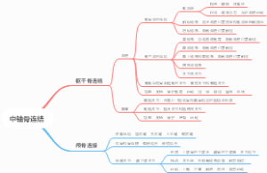 中轴骨连结