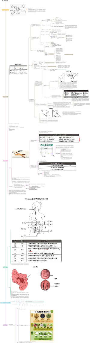 四、碳水化合物