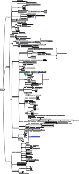 营口运营王健辉