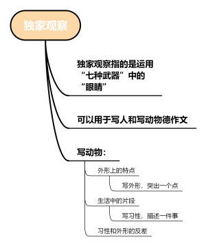 独家观察