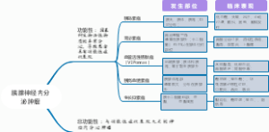 胰腺神经内分泌瘤分类