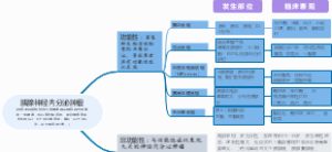 胰腺神经内分泌瘤