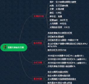 招募共享股东方案
