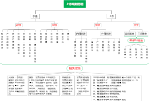 上海米瑞（上市规划思路《重点》）