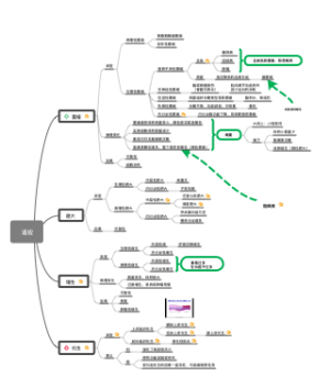 适应