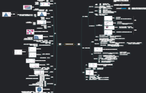 《认知觉醒》知识点整理