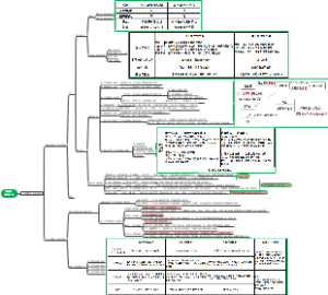第四章战略实施