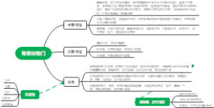 脊索动物门