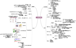 细胞生物学第十一章细胞骨架思维导图