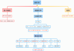 血标本