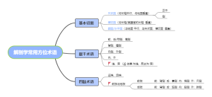 解剖学常用方位术语