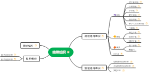 结缔组织
