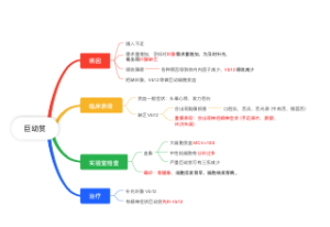 医学-巨幼贫思维导图