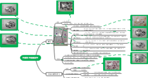 血液与血细胞发生