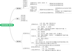 神经纤维 神经 神经末梢