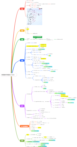 系统性红斑狼疮（SLE）
