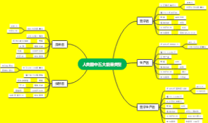 人类图中五大能量类型