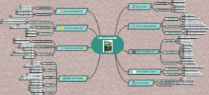 小学班队工作原理与实践