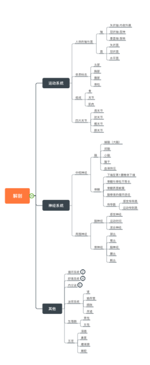 康复考试——解剖
