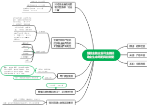 《加强金融企业和金融活动全生命周期风险防范》思维导图
