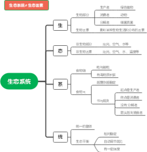 生态系统