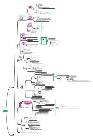 组胚第九章 循环系统circulatory system