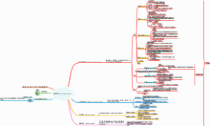 结缔组织（connective tissue）