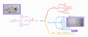 脂质和生物膜