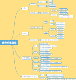16.神经系统总论