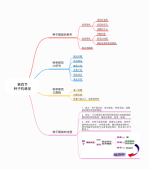 第四节种子的萌发