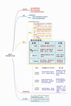 第五节根的结构与功能
