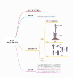 第七节植物的营养繁殖