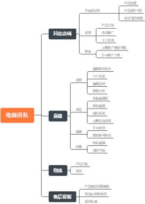电商团队