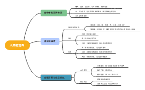 生物思维导图