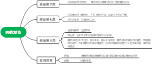 腭的发育