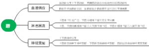 唇