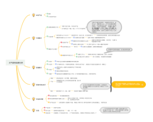 元气森林品牌分析