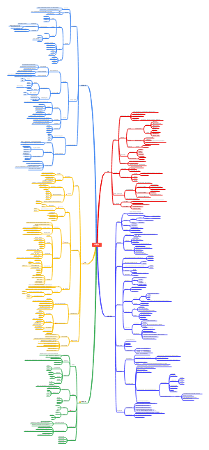 心理学：认知过程